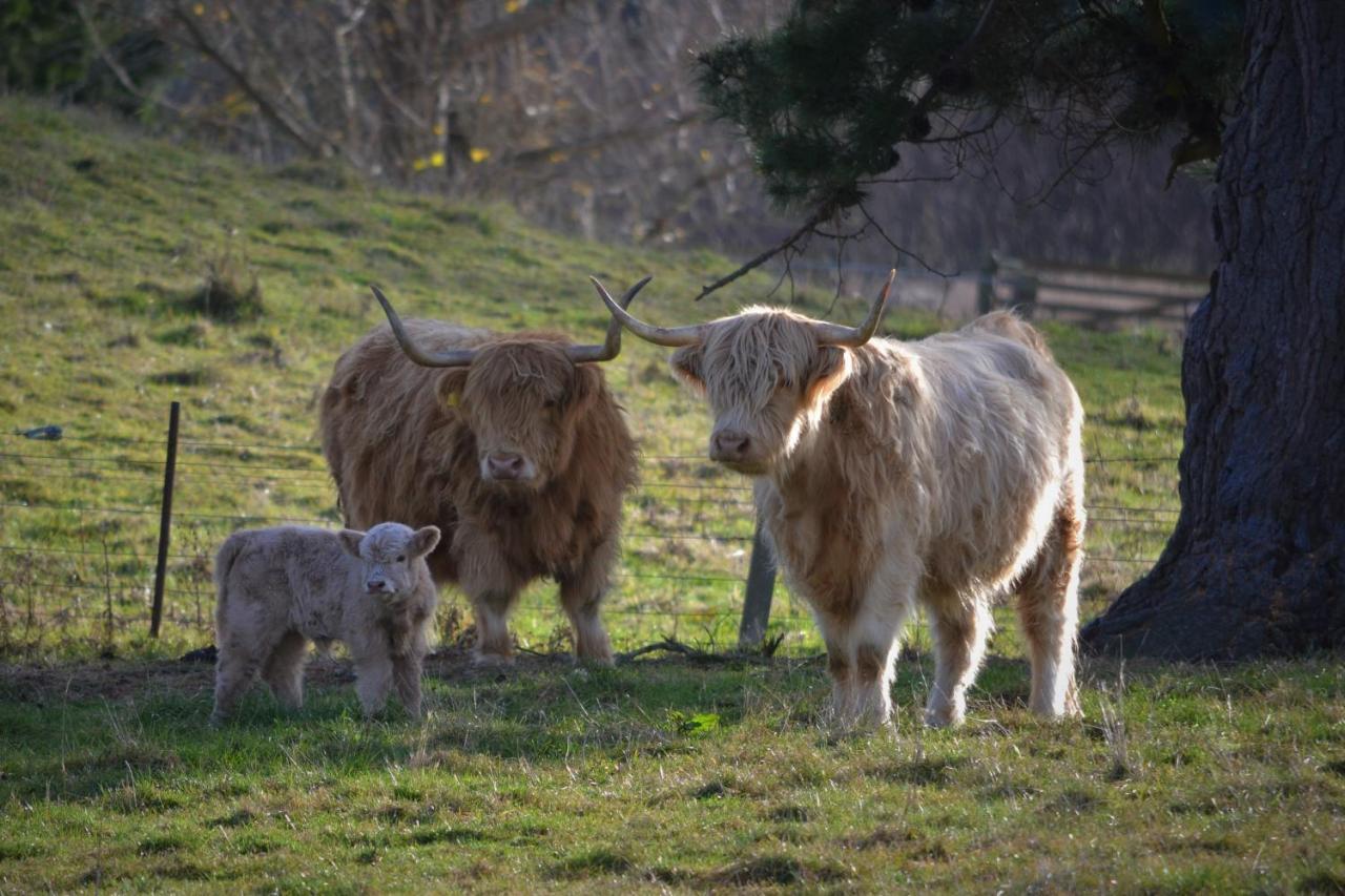 אואהמרו Highlands On Homestead מראה חיצוני תמונה